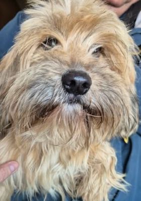 648847537 26202707336036512 3700588140128153888 n