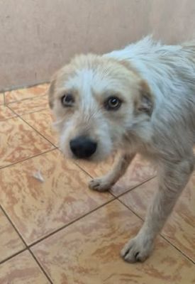 649024194 26194880053485907 5996953007587902526 n