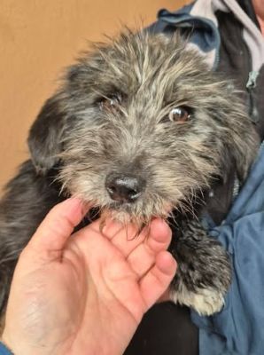 649063499 26194960256811220 5231238919803155213 n