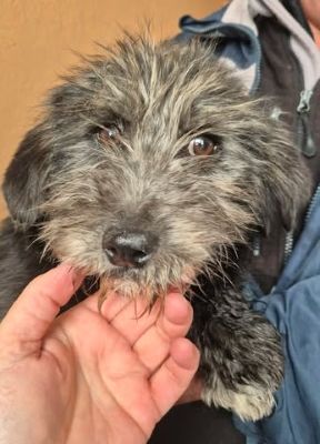 649185024 26194960253477887 9167029695513597474 n