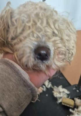 649245664 26202642956042950 316345307546934397 n