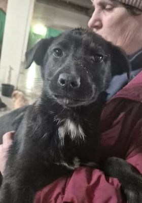 649528294 26202886409351938 3885104087498670184 n