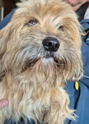 649633170 26202707479369831 169289160653519640 n