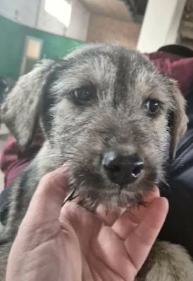 649772282 26202906462683266 2302504616260704318 n