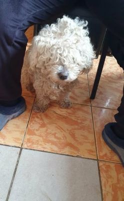 649840047 26202643292709583 8656233962191885203 n