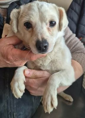 650000126 26202793819361197 4778326651195761287 n