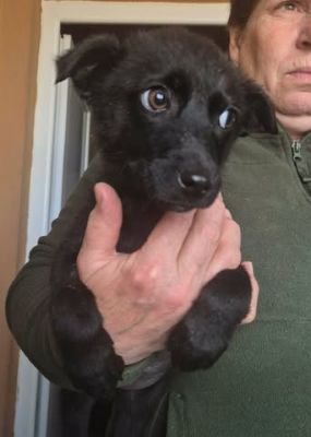 651200216 939614435699006 5459580571022635127 n