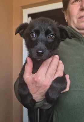 652858585 897685236406893 6979434407746251769 n