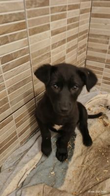 654674195 1476669627465435 887017737998037416 n