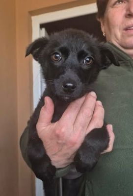 655153439 1512927610352860 8387464351121941228 n