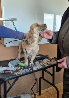 655287166 1283849787047979 3014077496644328747 n