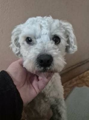 655618743 926235900026861 1048990528832462039 n