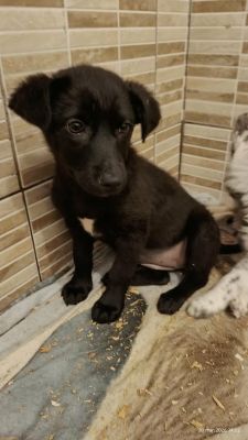 655698140 2426836747835710 2065661274840978639 n