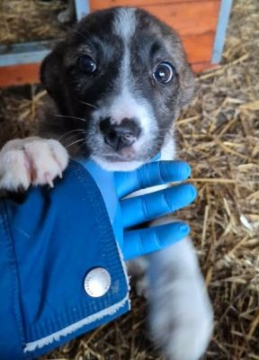 656045021 926660816664690 4892125091509586320 n