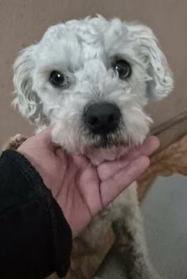 656197118 1283676163178912 6397822815672459940 n