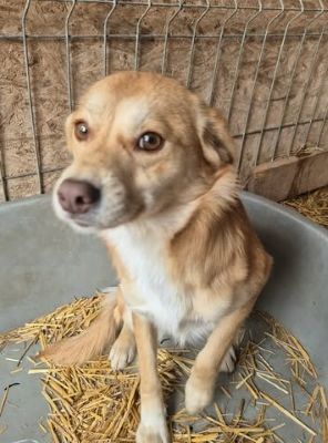 656467593 26375898435384067 6402424112618856994 n