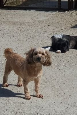 656633634 924825653800784 8994155586265006132 n