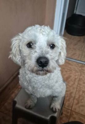 656809992 1473123707552483 4736726372254459701 n (1)