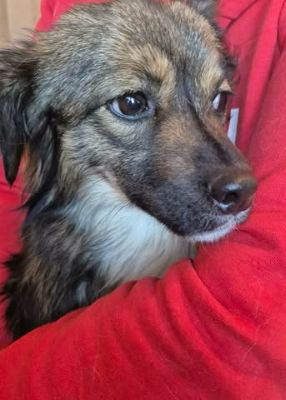 657281881 26397477266559517 7308085023879992868 n