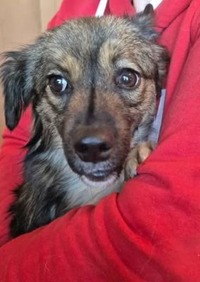 657351916 26397477143226196 7897456386357795772 n