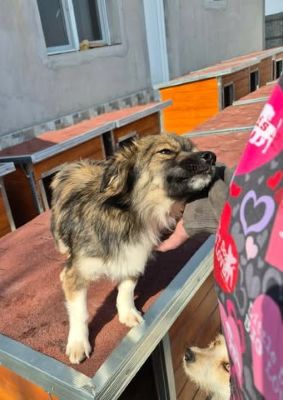 657356833 26397478503226060 2878561617636473405 n