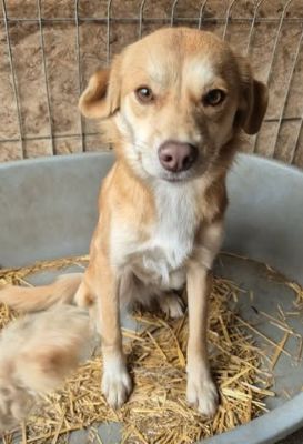 657391296 26375897748717469 601970185820613844 n