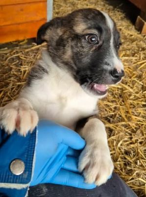 657449640 26418404931133417 2121630186712431745 n