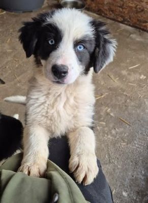 657538413 26405899509050626 4623244798964273682 n