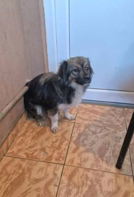 658426964 26397478286559415 8036885358718175343 n