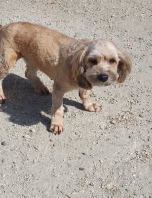 658612117 26285943654404463 3303095614338074861 n