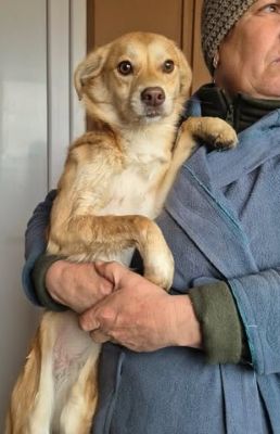 660137828 26375898168717427 3973739158225059721 n