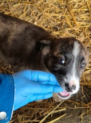 660898556 26418404347800142 2811437642344132103 n