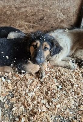 663326514 3169826556522736 765696614377188375 n