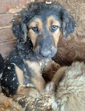 664811734 1918940438754468 3637577597640518690 n