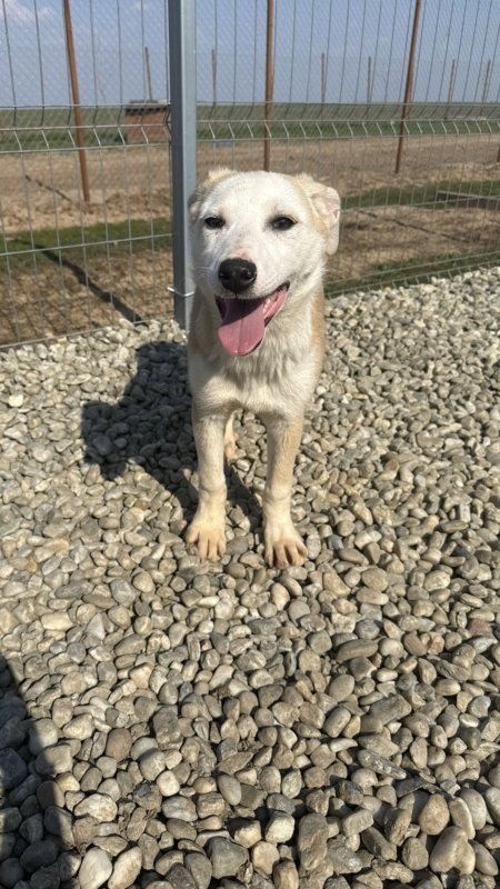 6e0cee4f 3fc5 45f9 bf1f 124be39d5f5d