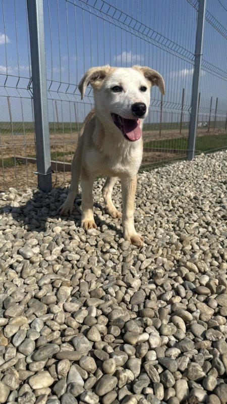 709016ae e339 4ede 9d3b 6140aa77c42d