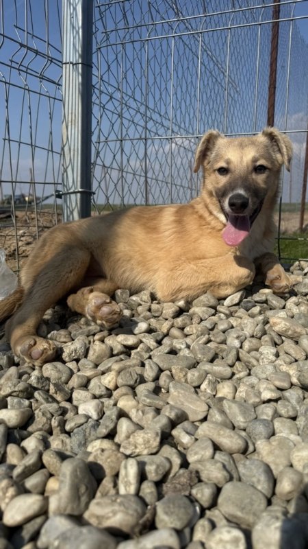 71fa94ab 16ac 4b85 9385 e54b9236eb10