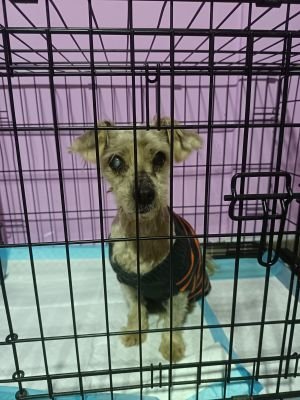 WhatsApp Image 2026 03 05 at 21.49.53