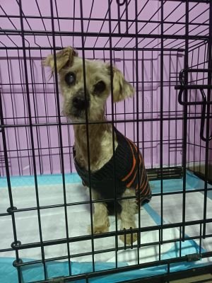 WhatsApp Image 2026 03 05 at 21.49.533