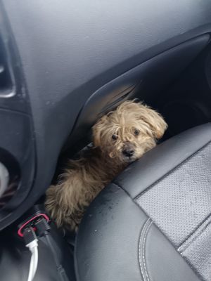 WhatsApp Image 2026 03 05 at 21.49.534