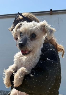 WhatsApp Image 2026 03 13 at 11.59.02 (1)