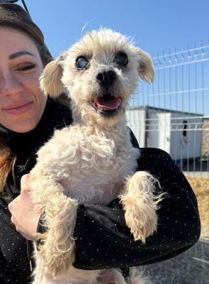 WhatsApp Image 2026 03 13 at 11.59.02 (2)