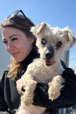 WhatsApp Image 2026 03 13 at 11.59.02