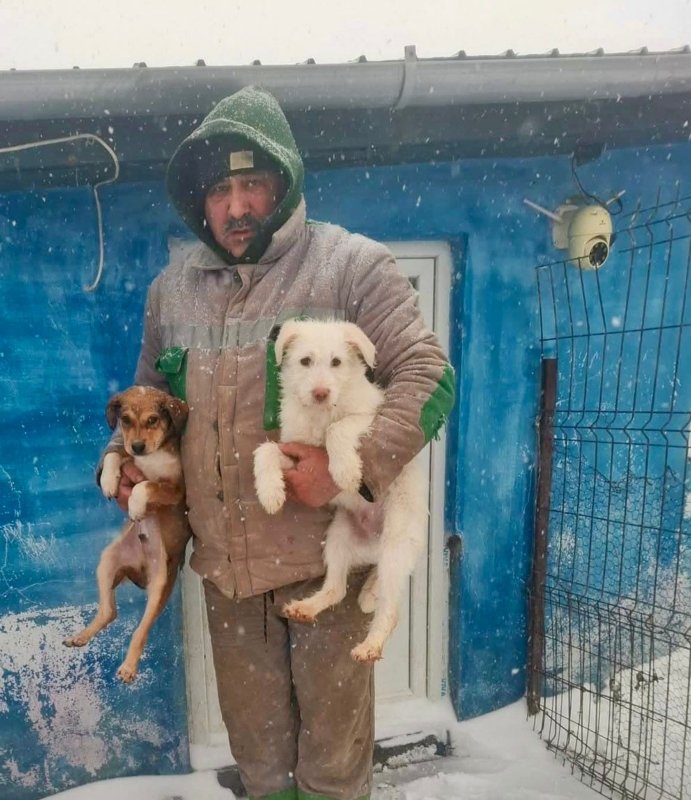 WhatsApp Image 2026 03 13 at 20.30.20 (1)