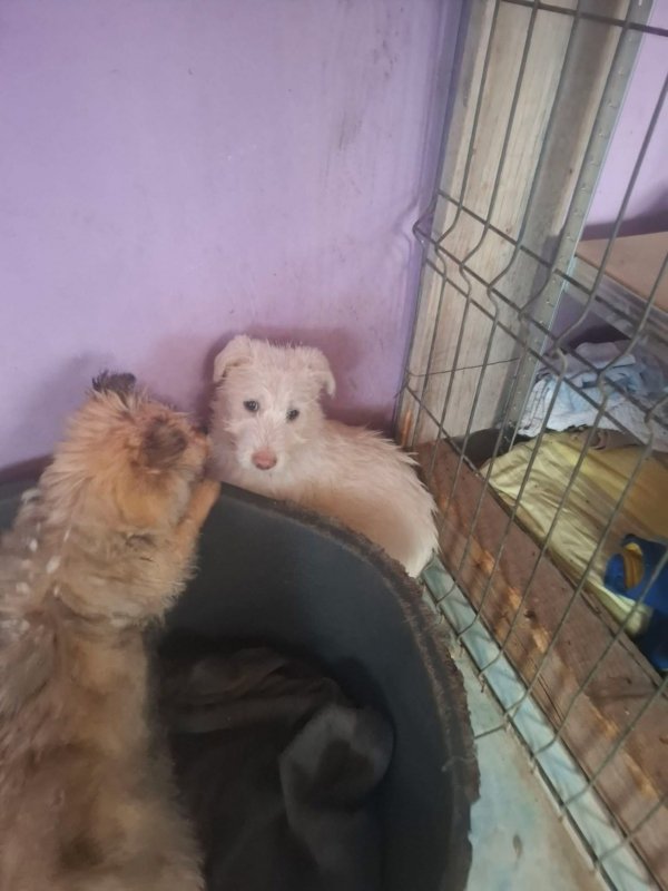 WhatsApp Image 2026 03 13 at 20.30.20 (2)