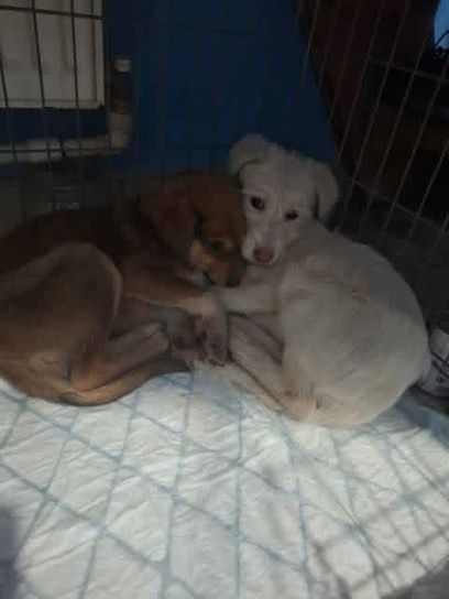 WhatsApp Image 2026 03 13 at 20.30.20 (3)