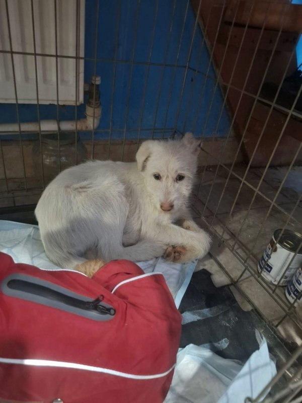 WhatsApp Image 2026 03 13 at 20.30.20 (4)