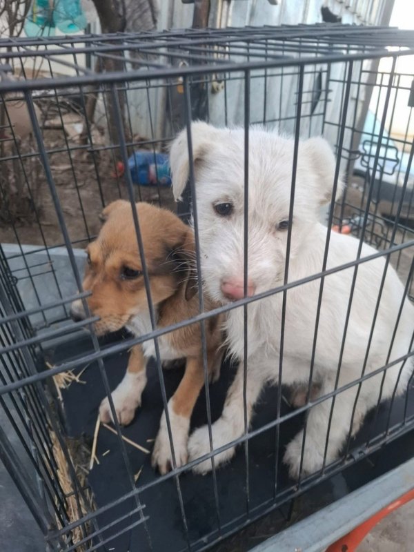 WhatsApp Image 2026 03 13 at 20.30.20