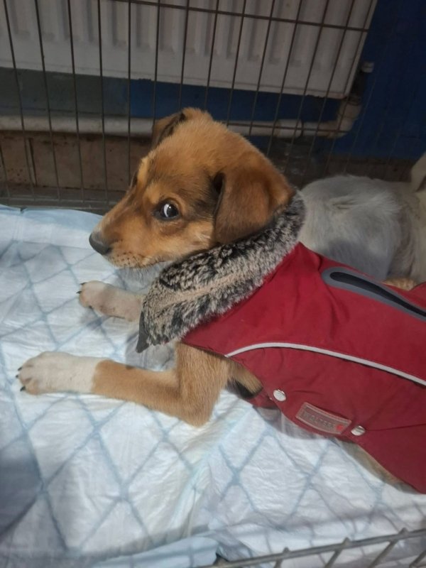 WhatsApp Image 2026 03 13 at 20.37.15