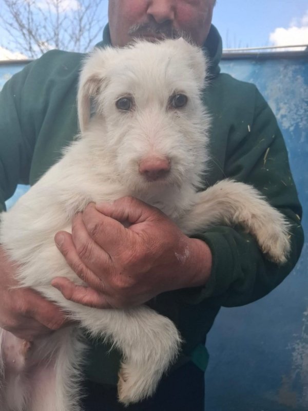 WhatsApp Image 2026 03 15 at 10.03.43 (1)